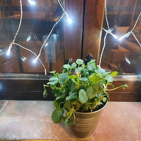 Apartamento Sefardi, Barrio Judio De Hervás المظهر الخارجي الصورة