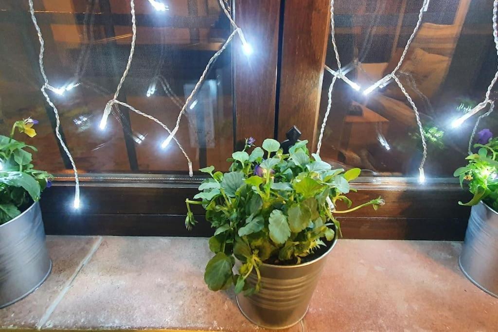 Apartamento Sefardi, Barrio Judio De Hervás المظهر الخارجي الصورة